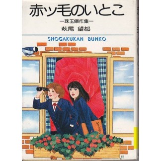 赤ッ毛のいとこ1巻の表紙