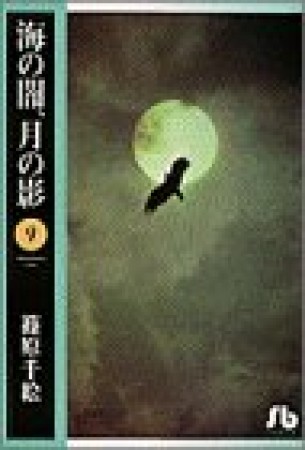 海の闇、月の影9巻の表紙