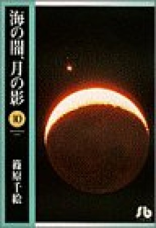 海の闇、月の影10巻の表紙