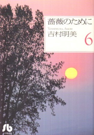 薔薇のために6巻の表紙