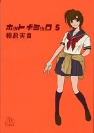 文庫版 ホットギミック5巻の表紙