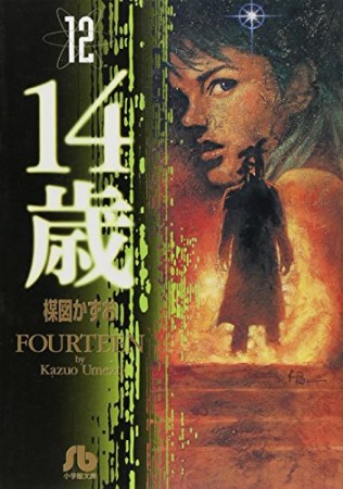 文庫版 14歳12巻の表紙