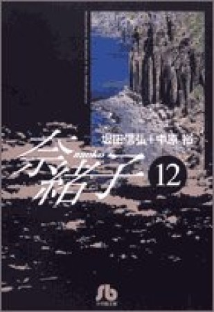 奈緒子12巻の表紙