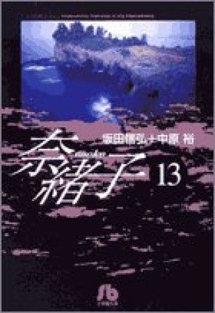 奈緒子13巻の表紙