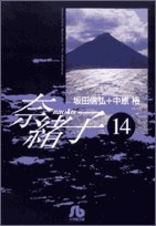 奈緒子14巻の表紙