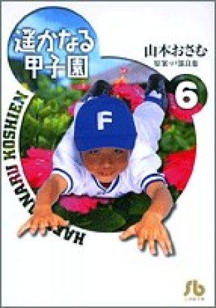 遥かなる甲子園6巻の表紙