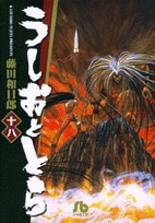 文庫版 うしおととら18巻の表紙