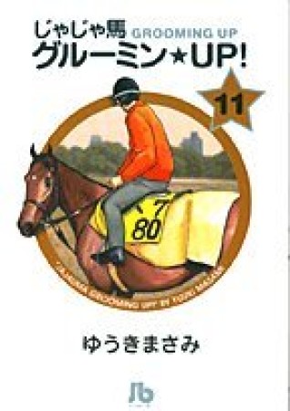 文庫版 じゃじゃ馬グルーミン★ＵＰ!11巻の表紙