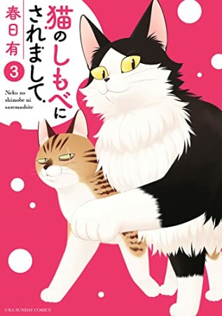 猫のしもべにされまして3巻の表紙