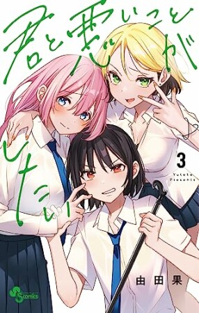 君と悪いことがしたい3巻の表紙