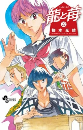 龍と苺22巻の表紙