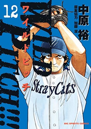 ＷＩＬＤ　ＰＩＴＣＨ！！！12巻の表紙