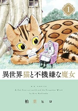 異世界猫と不機嫌な魔女1巻の表紙