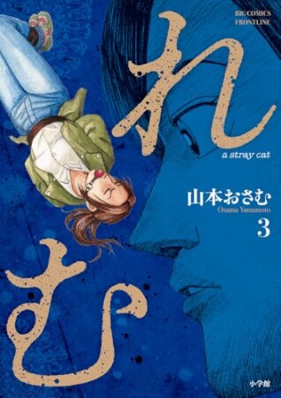 れむ　ａ　ｓｔｒａｙ　ｃａｔ3巻の表紙