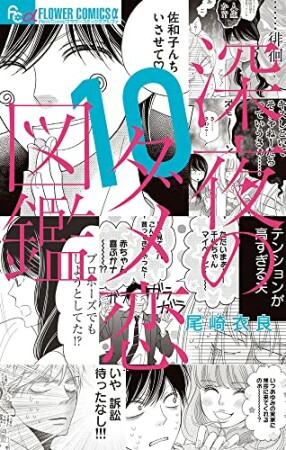 深夜のダメ恋図鑑10巻の表紙