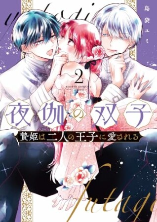 夜伽の双子-贄姫は二人の王子に愛される-2巻の表紙