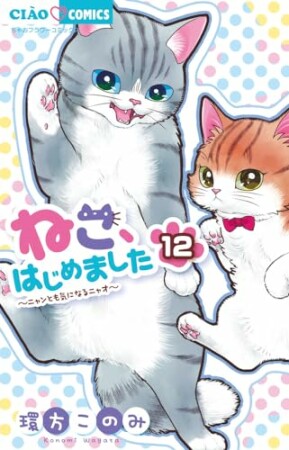 ねこ、はじめました12巻の表紙