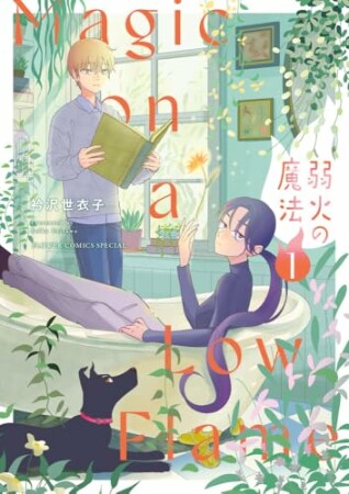 弱火の魔法1巻の表紙