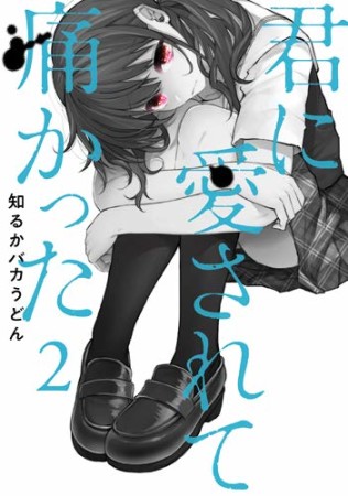 君に愛されて痛かった2巻の表紙