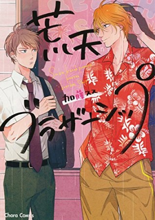 荒天ブラザーシップ1巻の表紙