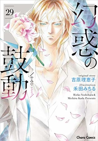 幻惑の鼓動29巻の表紙