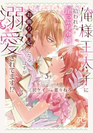 俺様王太子に拾われた崖っぷち令嬢、お飾り側妃になる…はずが溺愛されてます!?3巻の表紙