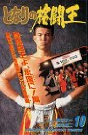 となりの格闘王10巻の表紙