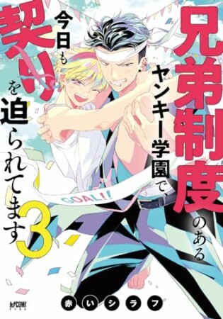 兄弟制度のあるヤンキー学園で、今日も契りを迫られてます3巻の表紙