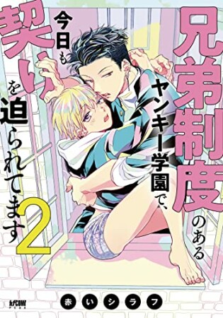 兄弟制度のあるヤンキー学園で、今日も契りを迫られてます2巻の表紙