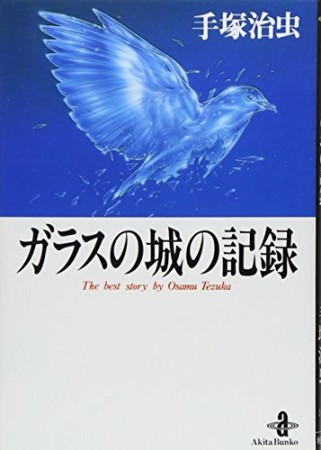 文庫版 ガラスの城の記録1巻の表紙