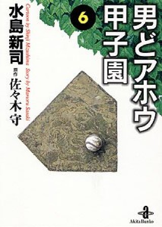 男どアホウ甲子園6巻の表紙