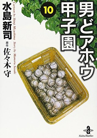 男どアホウ甲子園10巻の表紙