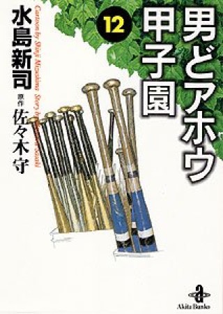 男どアホウ甲子園12巻の表紙