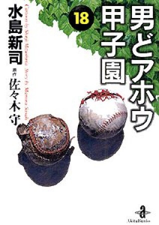 男どアホウ甲子園18巻の表紙