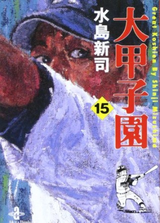 大甲子園15巻の表紙