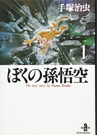 文庫版 ぼくの孫悟空1巻の表紙