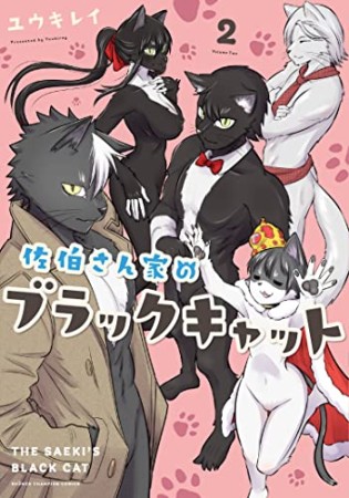 佐伯さん家のブラックキャット2巻の表紙
