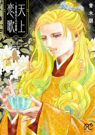 天上恋歌～金の皇女と火の薬師～11巻の表紙