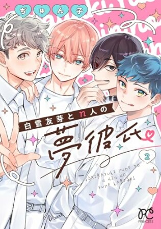 白雪友芽とn人の夢彼氏2巻の表紙