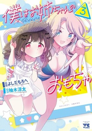 僕はお姉ちゃんのおもちゃ3巻の表紙