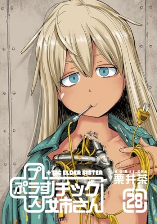 プラスチック姉さん28巻の表紙