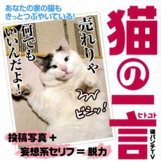 猫の一言1巻の表紙