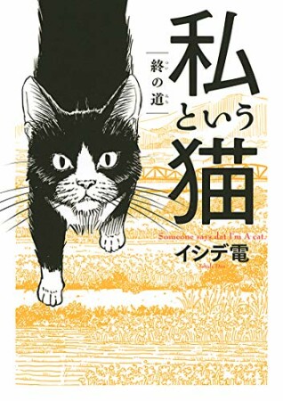 私という猫5巻の表紙