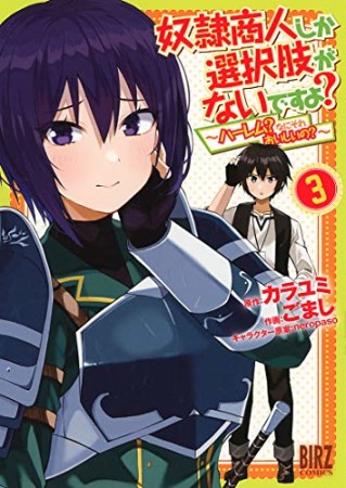 奴隷商人しか選択肢がないですよ？ ～ハーレム？なにそれおいしいの？～3巻の表紙