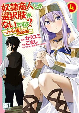 奴隷商人しか選択肢がないですよ？ ～ハーレム？なにそれおいしいの？～4巻の表紙