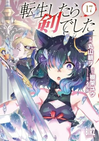 転生したら剣でした17巻の表紙