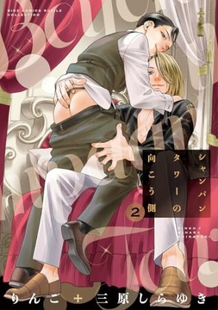 シャンパンタワーの向こう側2巻の表紙