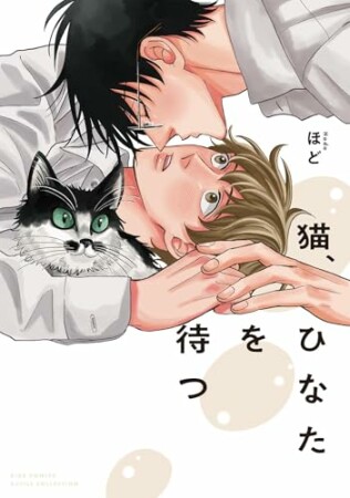 猫、ひなたを待つ1巻の表紙