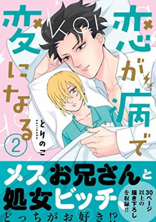 恋が病で変になる2巻の表紙