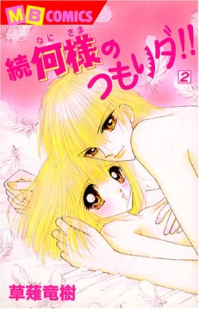 続何様のつもりダ!!2巻の表紙